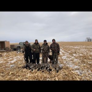 Meet your Posher, Diamonte